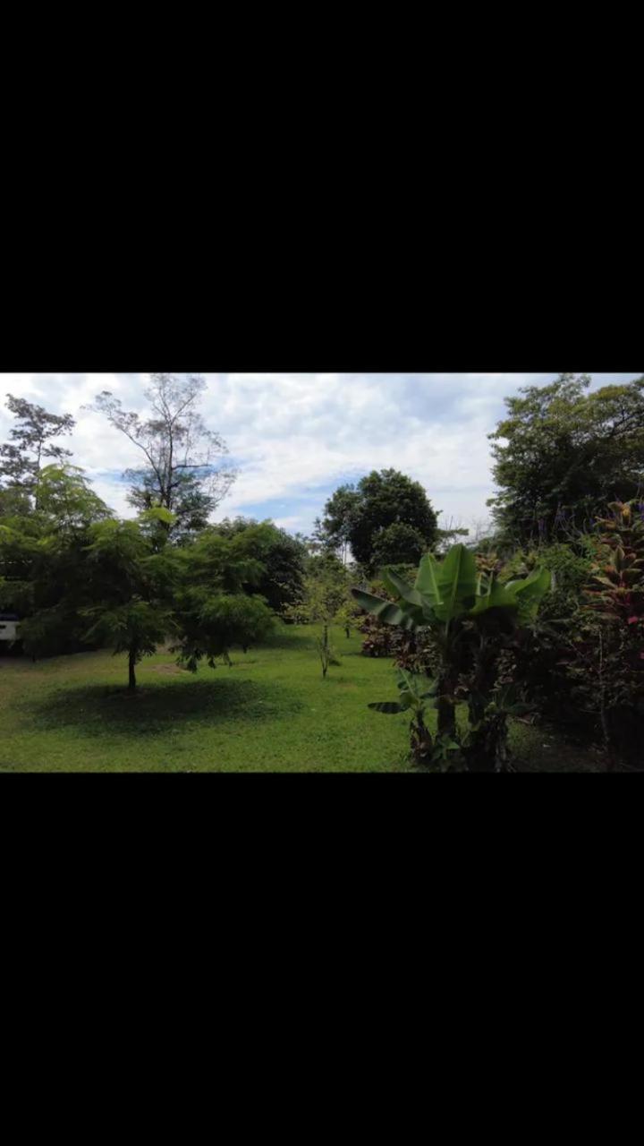 Arenal Hostel La Catarata La Fortuna Екстериор снимка